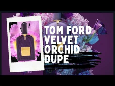 velvet orchid tom ford dupe